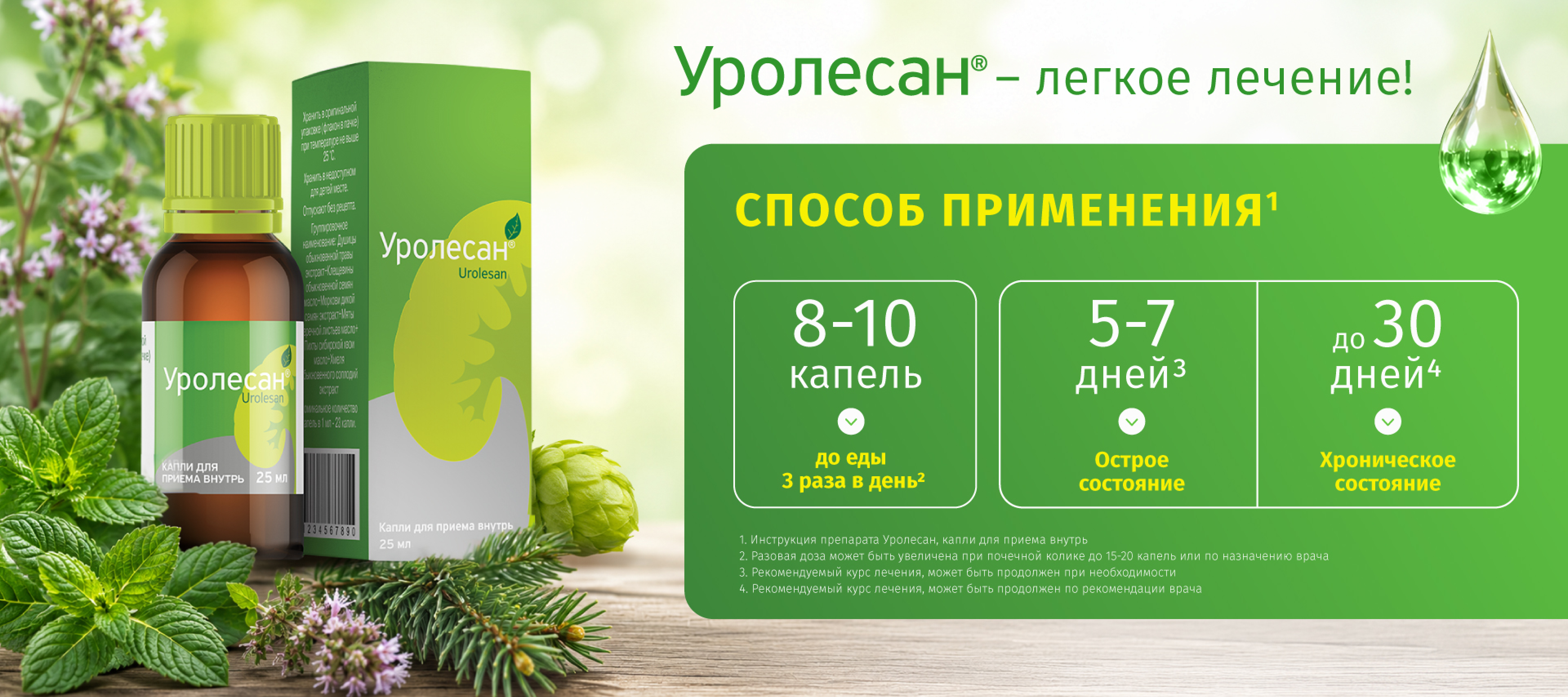 Способ применения Уролесан, капли для приема внутрь: 8–10 капель до еды 3 раза в день, 5–7 дней при остром состоянии, до 30 дней при хроническом