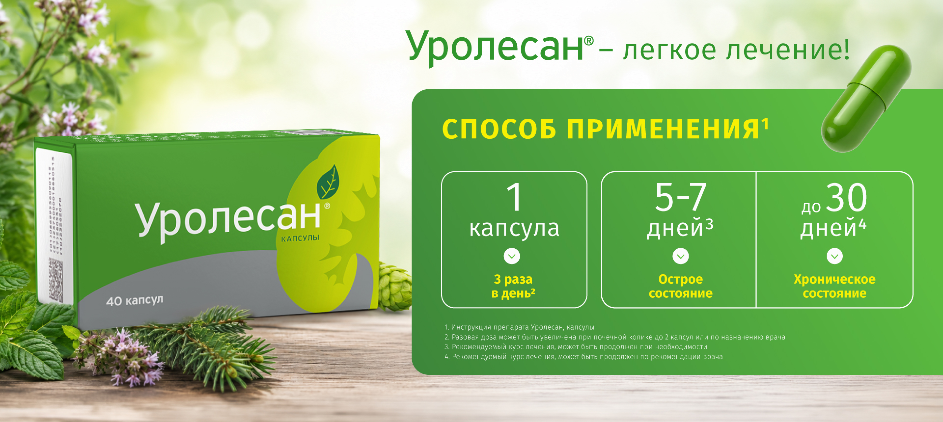 Способ применения Уролесан: 1 капсула 3 раза в день, 5–7 дней при остром состоянии, до 30 дней при хроническом
